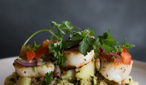 seared scallops on top of crushed potato garnished with fresh salsa and coriander.