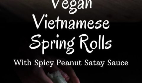 a Vietnamese spring roll recipe presented in the form of a pin for Pinterest.