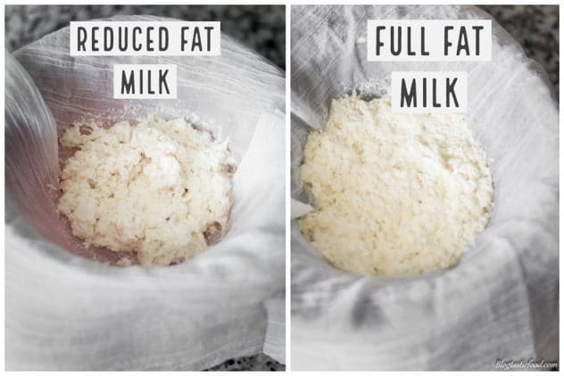 A collage of 2 photos showing the difference between ricotta made with reduced fat milk and ricotta made with full cream milk. 